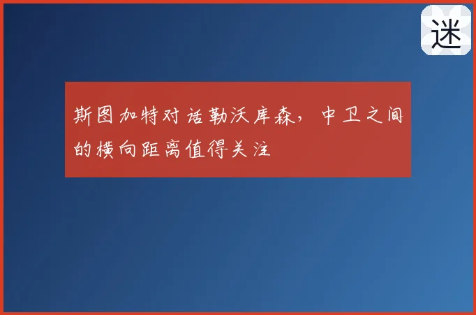 斯图加特对话勒沃库森，中卫之间的横向距离值得关注